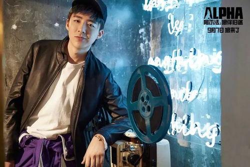 老九爆料茶叶视频大全集,揭秘茶叶世界的奥秘与魅力