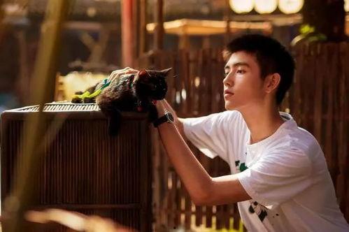 陈飞宇爆料陈凯歌视频,视频曝光惊人内幕